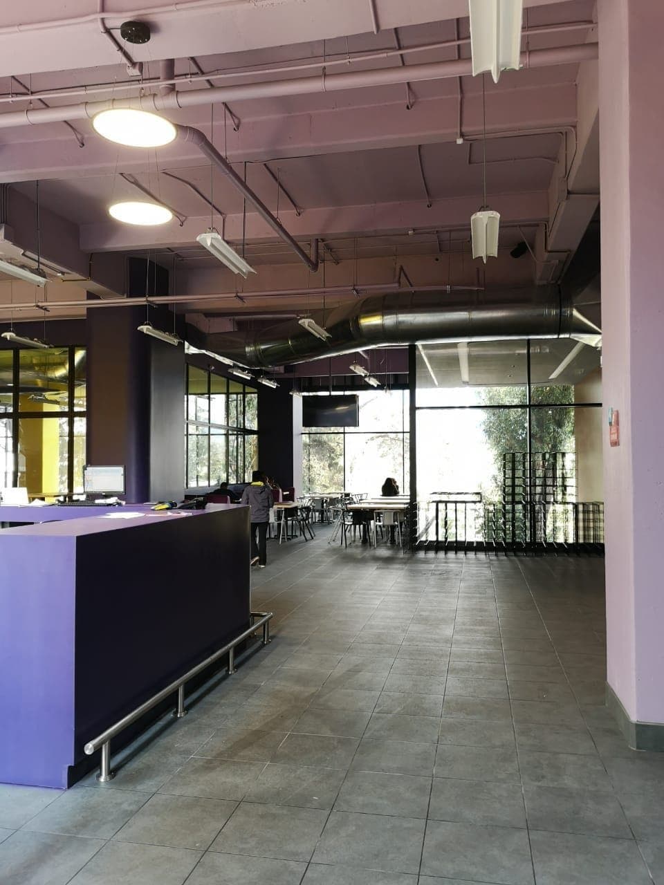 Proyecto Dinamic Zona 10 - ColorMattes Guatemala