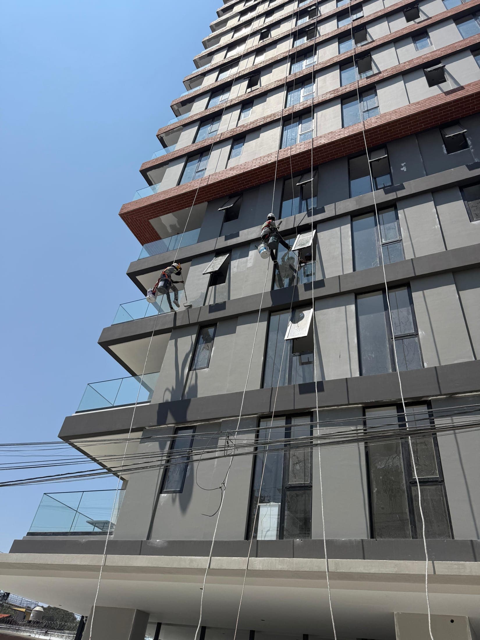 Proyecto Tomus - ColorMattes Guatemala